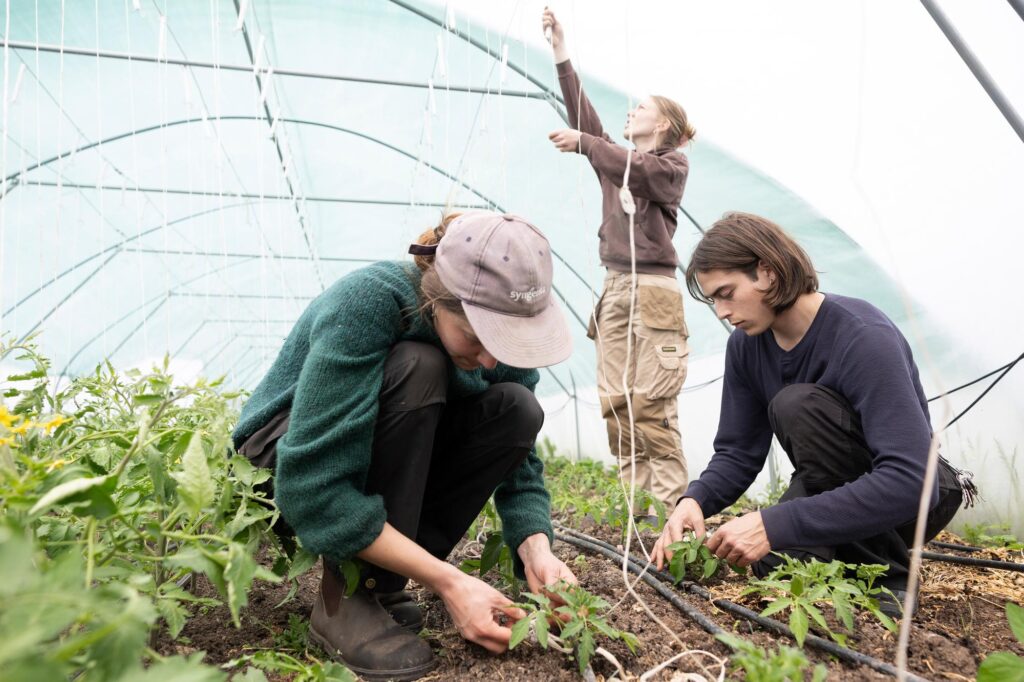 The view is surreal, and the ambitions are great at the small alternative farm on the edge of Copenhagen.
