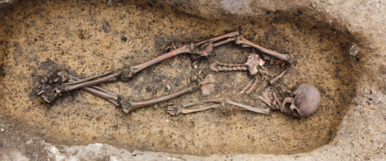 50 Viking Skeletons Unearthed in Danish Burial Site