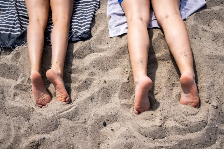 Rising Jellyfish Threat at North Zealand Beaches: Lifeguard Warns