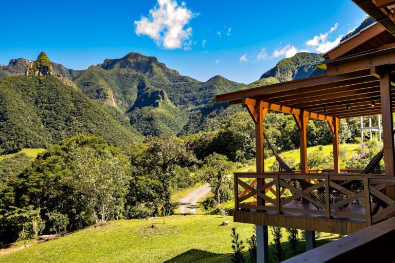 Ultimate Summer Travel Guide for Pets with Airbnb
