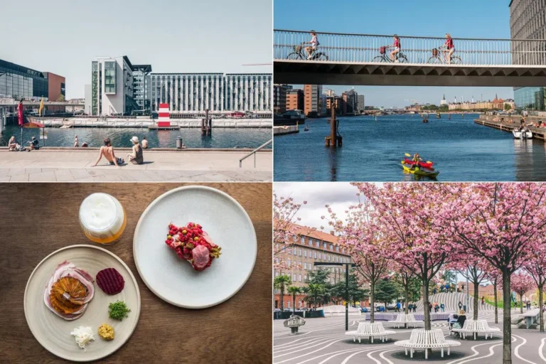 Copenhagen: Explore Michelin Meals and Scenic Harbor Swims Copenhagen: Explore Michelin Meals and Scenic Harbor Swims