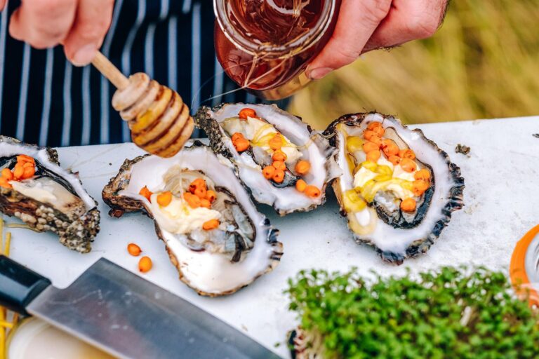 Enjoy Free Oysters at Wadden Sea National Park! Enjoy Free Oysters at Wadden Sea National Park!